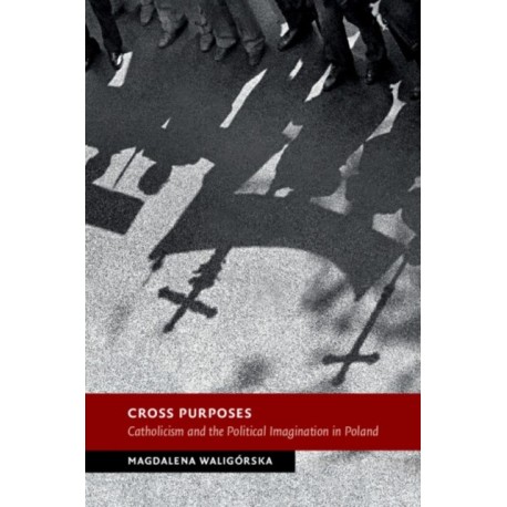 Cross Purposes: Catholicism and the Political Imagination in Poland