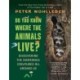 Do You Know Where the Animals Live?: Discovering the Incredible Creatures All Around Us