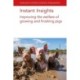 Instant Insights: Improving the Welfare of Growing and Finishing Pigs