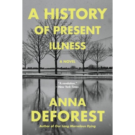 A A History of Present Illness: A Novel