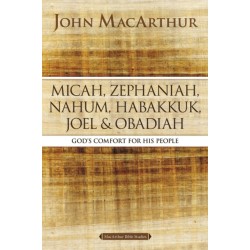 Micah, Zephaniah, Nahum, Habakkuk, Joel, and Obadiah: God's Comfort for His People