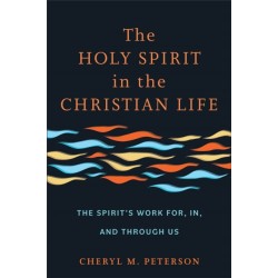 The Holy Spirit in the Christian Life: The Spirit's Work for, in, and through Us