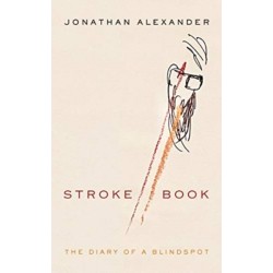 Stroke Book: The Diary of a Blindspot