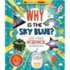 Why is the Sky Blue? (and other science questions)