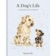 A Dog’s Life: A celebration of our best friend