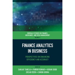 Finance Analytics in Business: Perspectives on Enhancing Efficiency and Accuracy