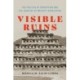 Visible Ruins: The Politics of Perception and the Legacies of Mexico's Revolution
