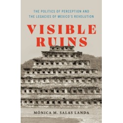 Visible Ruins: The Politics of Perception and the Legacies of Mexico's Revolution