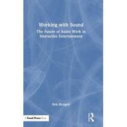 Working with Sound: The Future of Audio Work in Interactive Entertainment