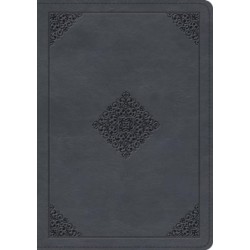 ESV Large Print Wide Margin Bible