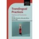 Translingual Practices: Playfulness and Precariousness