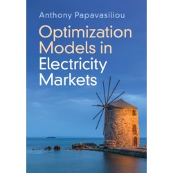 Optimization Models in Electricity Markets