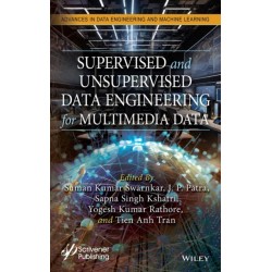 Supervised and Unsupervised Data Engineering for Multimedia Data