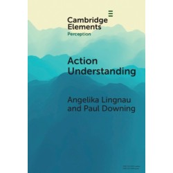Action Understanding