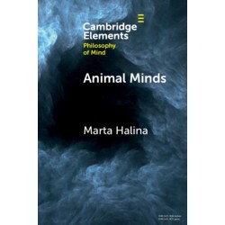 Animal Minds