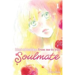 Kimi ni Todoke: From Me to You: Soulmate, Vol. 1