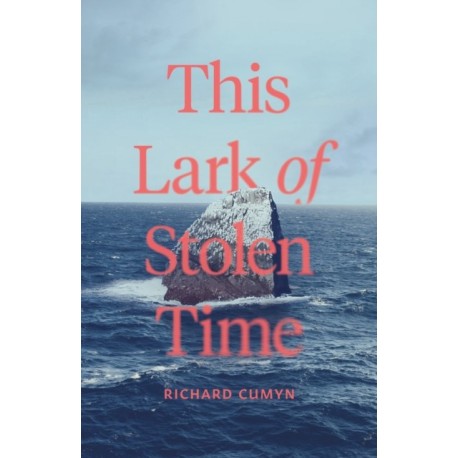 The This Lark of Stolen Time: A Novel