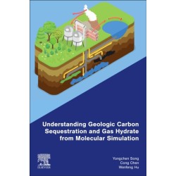 Understanding Geologic Carbon Sequestration and Gas Hydrate from Molecular Simulation