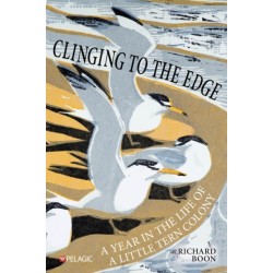 Clinging to the Edge: A Year in the Life of a Little Tern Colony