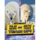 Polar Bears and Arctic Foxes Team Up!