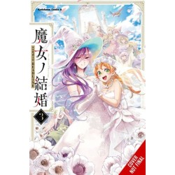 The Witches' Marriage, Vol. 3