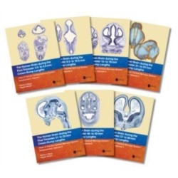 The Human Brain During the First Trimester: Atlas of Human Central Nervous System Development, Volume 1-7