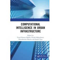Computational Intelligence in Urban Infrastructure
