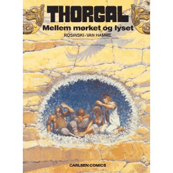 Mellem mørket og lyset