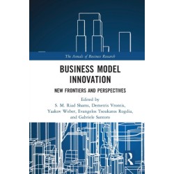Business Model Innovation: New Frontiers and Perspectives