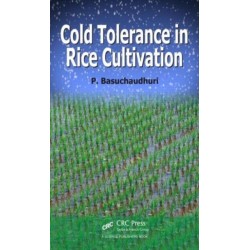 Cold Tolerance in Rice Cultivation