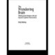 The Wondering Brain: Thinking about Religion With and Beyond Cognitive Neuroscience