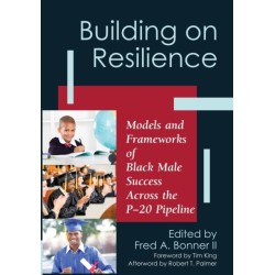 Building on Resilience: Models and Frameworks of Black Male Success Across the P-20 Pipeline