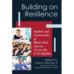 Building on Resilience: Models and Frameworks of Black Male Success Across the P-20 Pipeline