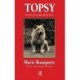Topsy: The Story of a Golden-haired Chow