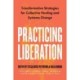 Practicing Liberation: Transformative Strategies for Collective Healing & Systems Change: Reflections on burnout, trauma & building communities of care in social justice work