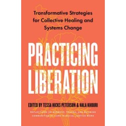 Practicing Liberation: Transformative Strategies for Collective Healing & Systems Change: Reflections on burnout, trauma & building communities of care in social justice work