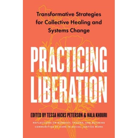 Practicing Liberation: Transformative Strategies for Collective Healing & Systems Change: Reflections on burnout, trauma & building communities of care in social justice work