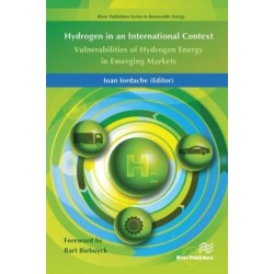 Hydrogen in an International Context: Vulnerabilities of Hydrogen Energy in Emerging Markets