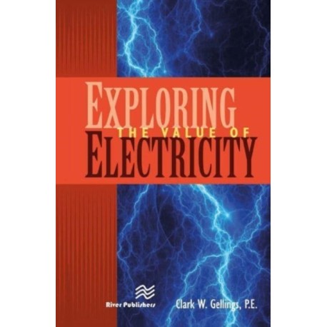 Exploring the Value of Electricity