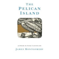 The Pelican Island (Illustrated Edition)