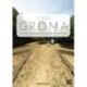 Groma: Issue 7 2022. Proceedings of ArchaeoFOSS XV 2021: Documenting Archaeology (Dept of History and Cultures, University of Bologna)