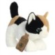 Eco Nation Calico Cat