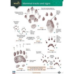 Mammal tracks and signs