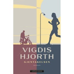 Gjentakelsen : roman