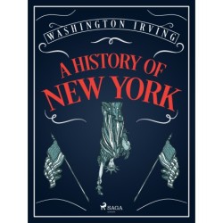 A History of New York