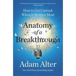 Anatomy of a Breakthrough: How to get unstuck and unlock your potential