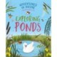 Adventures in Nature: Exploring Ponds