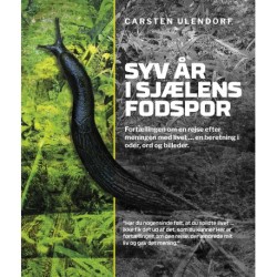 Syv år i sjælens fodspor