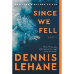 Since We Fell: A Novel