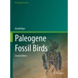Paleogene Fossil Birds